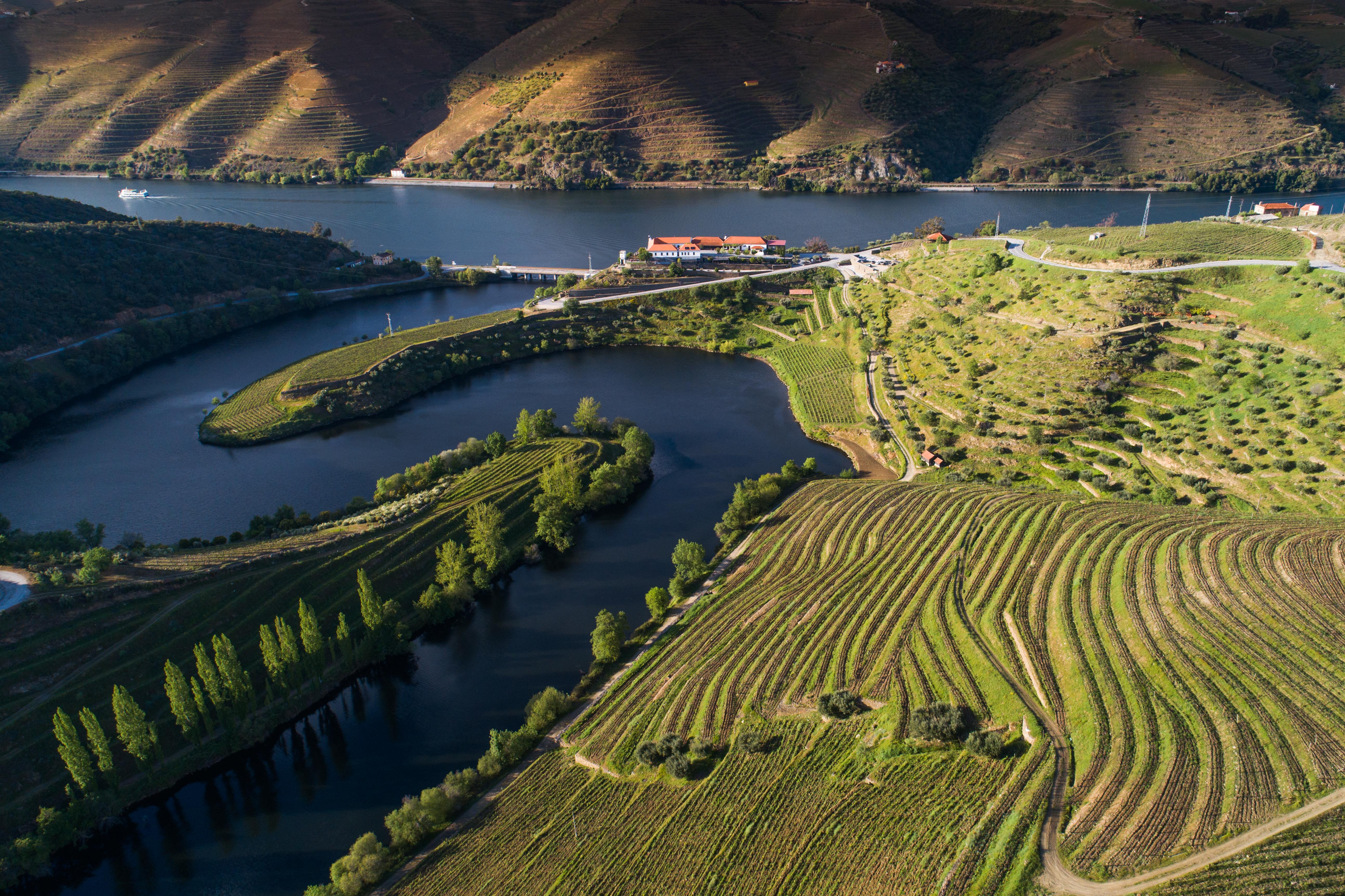Vila Gale Douro Vineyards Armamar Exterior foto